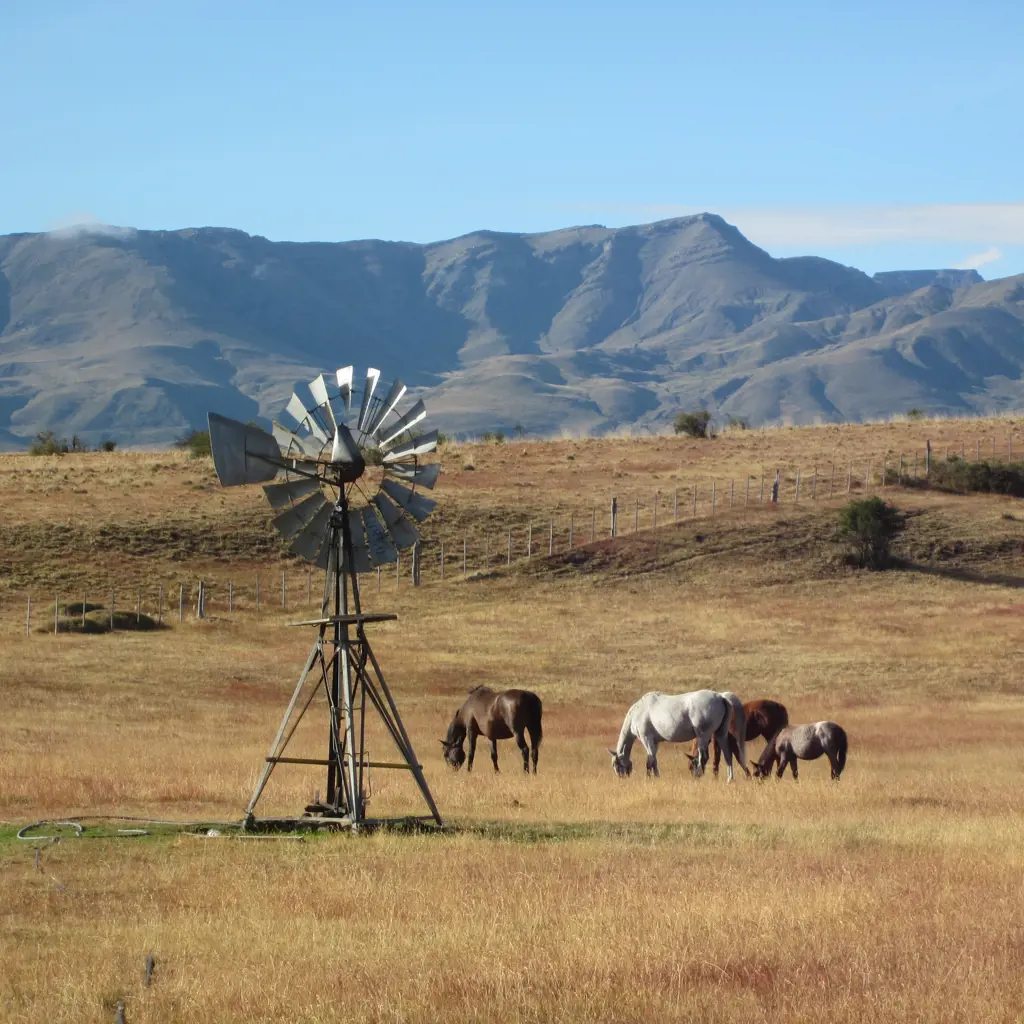 Erlebnisreisen Patagonien